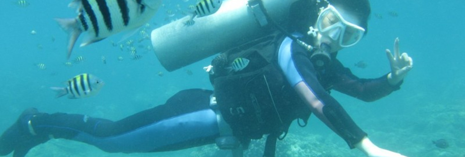 海底世界潜水