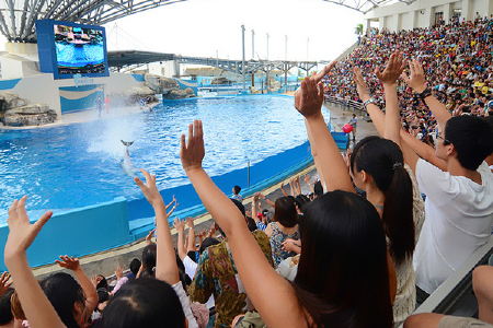 香港-澳门2晚3日游 缤纷海洋公园 邂逅澳门之旅