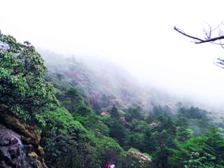  【暑期特惠】云南门票-禄劝-轿子雪山门票游>轿子雪山套票 含往返