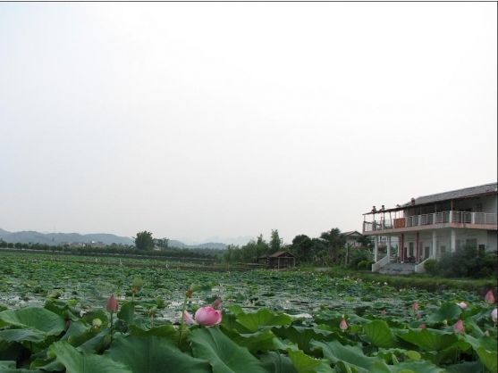 田东县