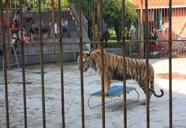 厦门海沧野生动物园