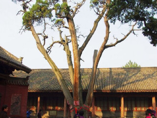 韩城市有什么好玩的地方_韩城市游玩去哪好_