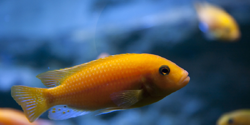 动物园参观水族馆攻略_柏林动物园游玩攻略大