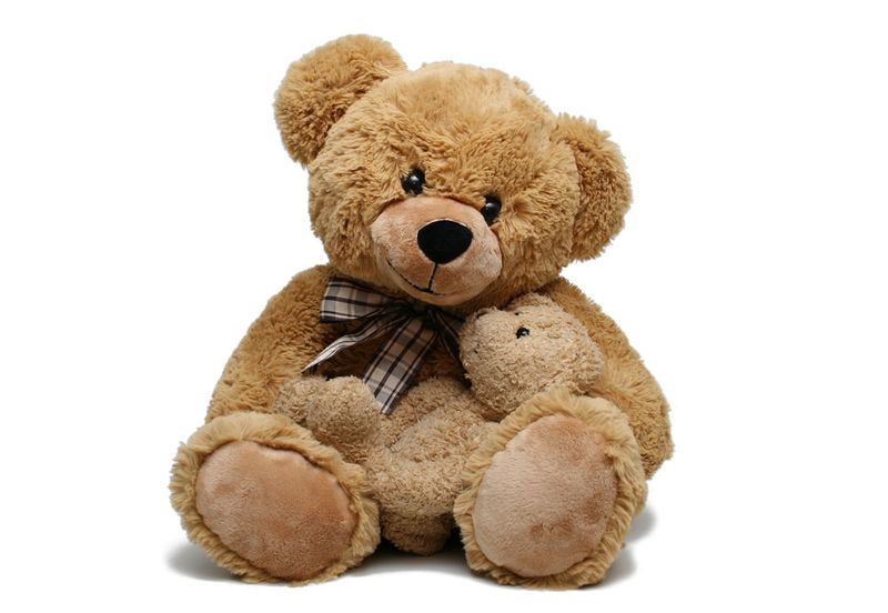 【泰迪熊(teddy bear)】_专卖店_哪里买