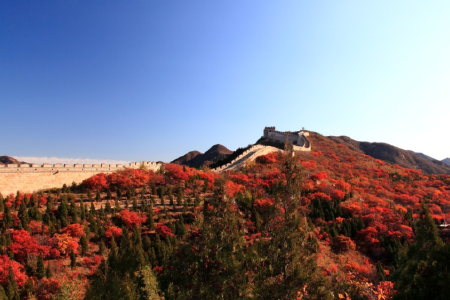 <北京-颐和园-故宫-八达岭5日游>当地参团,逛什刹海畔胡同/观庄严升旗/看/探神秘长陵,含接机站服务,恭王府/圆明园,携亲子感恩爸妈游 <北京-颐和园-故宫-八达岭5日游>当地参团,逛什刹海畔胡同/观庄严升旗/看/探神秘长陵,含接机站服务,恭王府/圆明园,携亲子感恩爸妈游