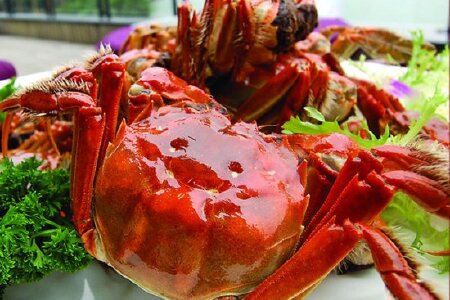 food_picture