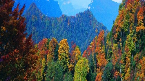 光雾山风景区