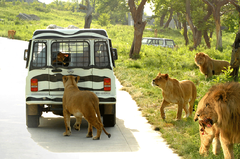 秦岭野生动物园