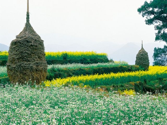 婺源篁岭景区