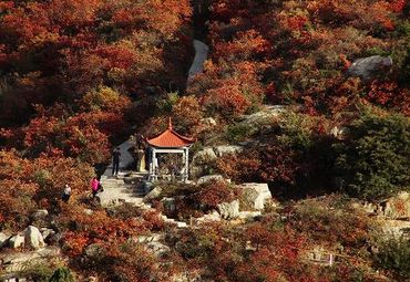 竹林长寿山景区图片