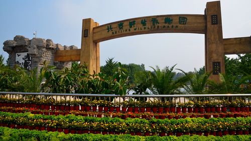  北京八达岭长城-野生动物园汽车1日游>适合亲子游