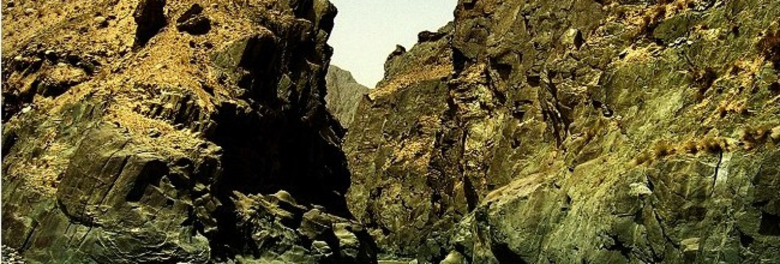 莫勒切河古岩画