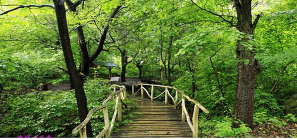 鸡冠山风景区