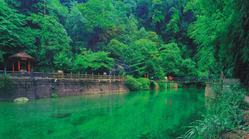 熊猫-乐山-峨眉山1晚2日游船游乐山睡全景