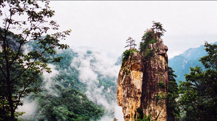 河南 平顶山 石龙区