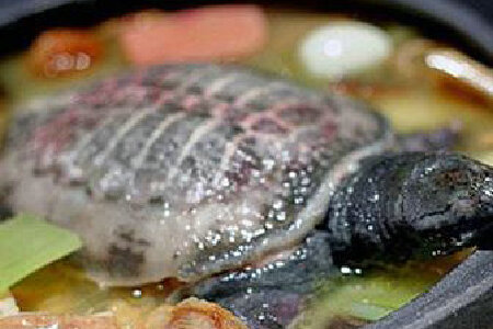 food_picture