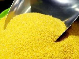 【毛家屋子小米】价格_专卖店_哪里买