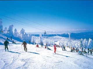 東北亞布力滑雪旅游價格多少跟團_東莞到東北亞布力滑雪游_去東北亞布力滑雪報團多少錢