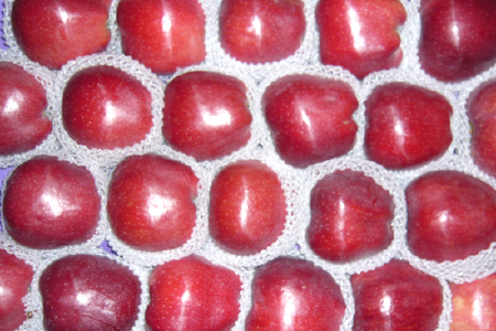 food_picture