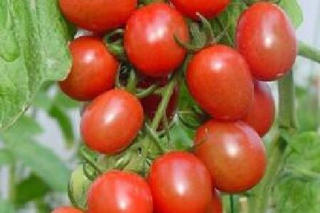 food_picture