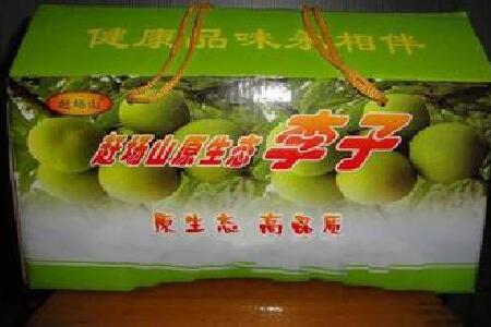 food_picture
