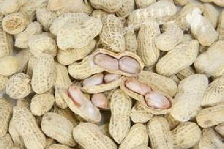 food_picture