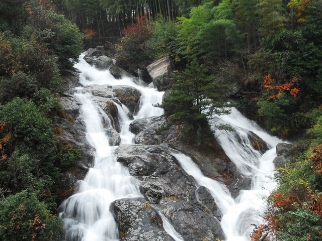 天目山-琴湖飞瀑-青山湖-太湖源3日游>成人报名含4正2早,宿农家乐