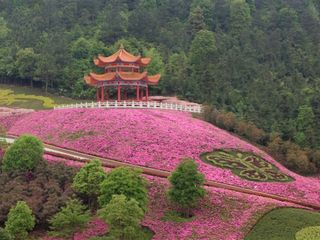 宜春靖安中部梦幻城自驾1日游>高级休闲度假旅游区