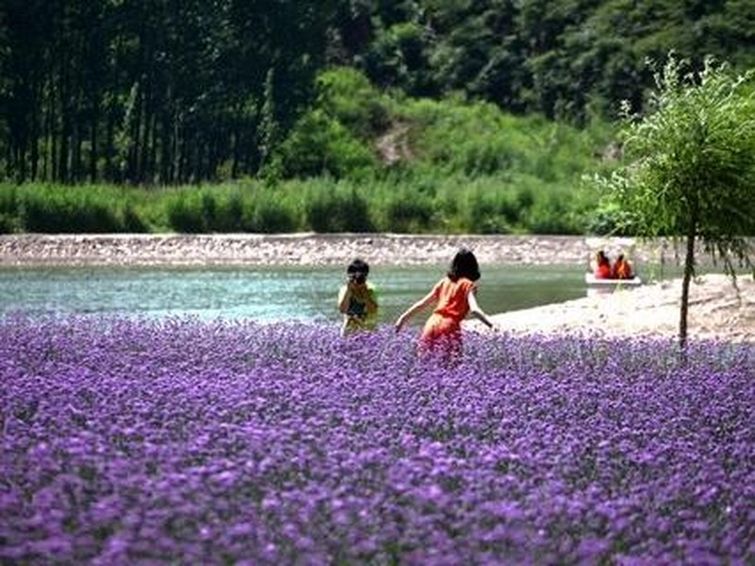 人间花海景区