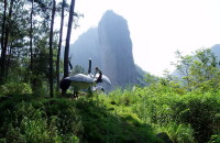 九龙山国家森林公园参观