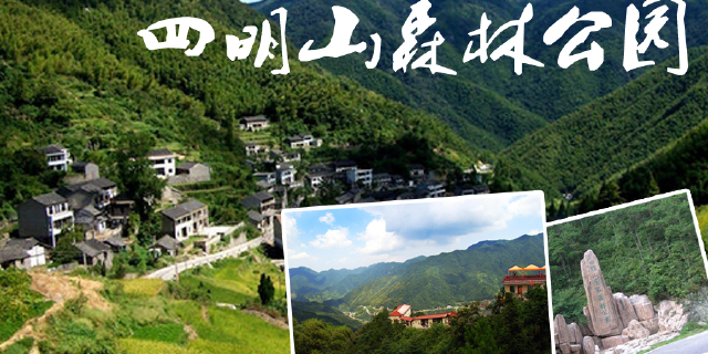 【四明山森林公园图片】余姚市风景图片_旅游景点照片