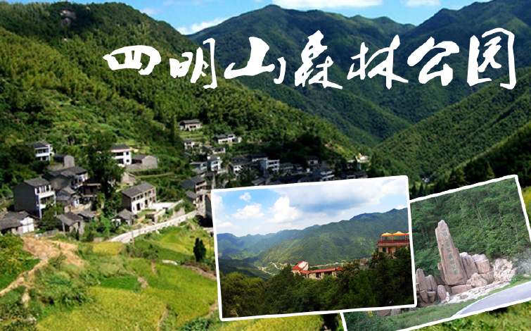 四明山森林公园