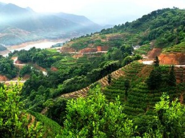 潮州凤凰山