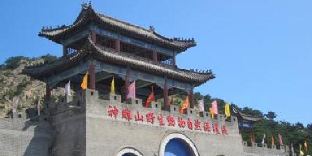 <荣成高铁自助2日游>宿荣成九龙晟大酒店,车次\/房型\/门票任选 神雕山野生动物园\/成山头\/海驴岛\/赤山_烟台_出发_途牛