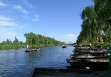 桓台马踏湖旅游景点 桓台马踏湖旅游风景图片 桓台马踏湖旅游点评