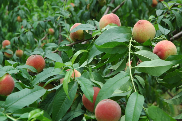 福州龙台山简介_介绍_福州龙台山旅游简介_旅游介绍_途牛