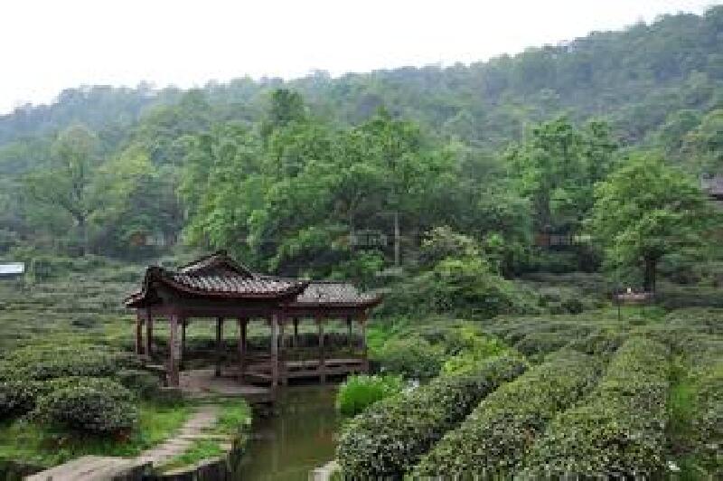 蒙顶山旅游区