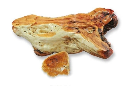 food_picture