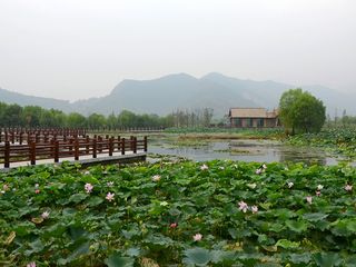  湖州月亮温泉-图影湿地自驾2日游>宿白金五星 湖州喜来登温泉度假