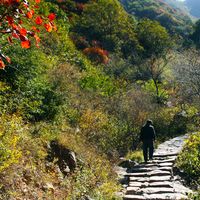 锦山自然生态风景区景点介绍