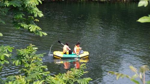  婺源篁岭赏花-世遗三清山高铁3日游>含篁岭索道,挂