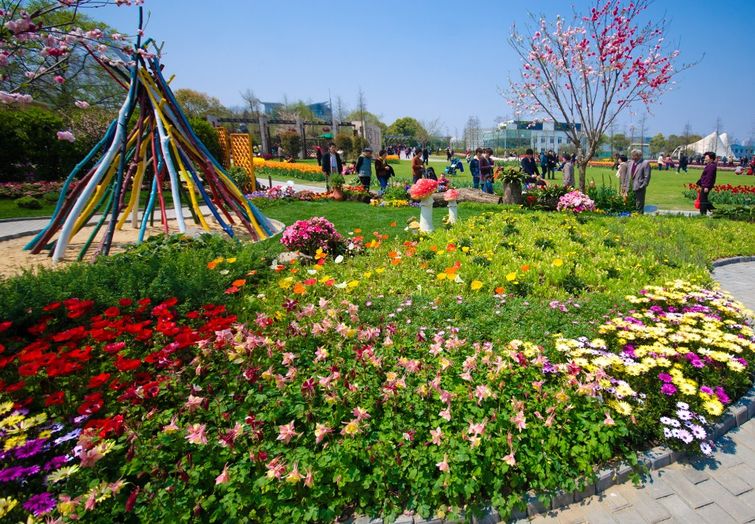 上海上海植物园简介_介绍_上海上海植物园旅游简介
