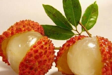 food_picture