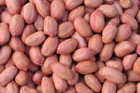 food_picture