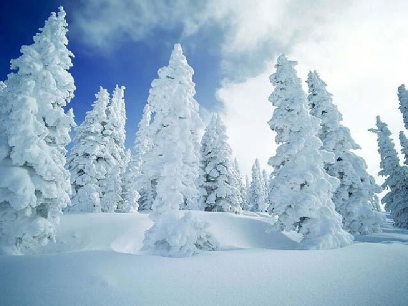 爱游戏- 爱游戏体育- AYX爱游戏体育官方网站冰天雪地也是金山银山 感受冰雪经济的“热”力无限