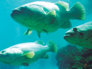 <上海飞北欧四国10晚13日游