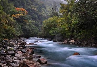 四川旅游 雅安旅游 喇叭河图片  喇叭河美图集锦