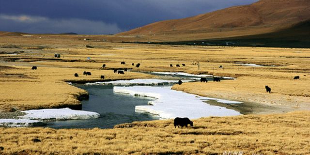 羌塘大草原旅游景点大全