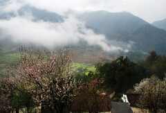 景点模块 