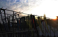 参观草木本色染坊